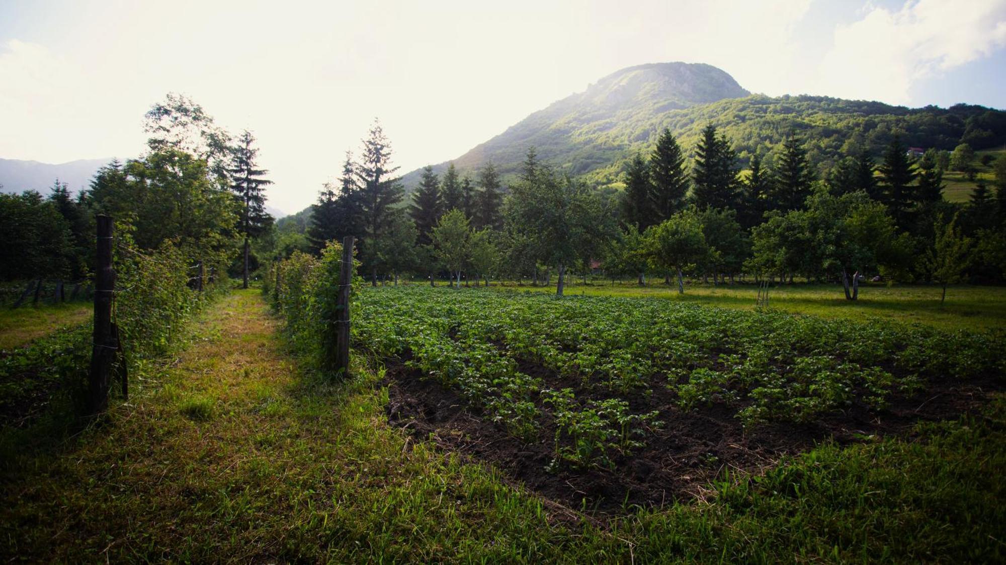 Ethno Village Stitarica Mojkovac Ngoại thất bức ảnh