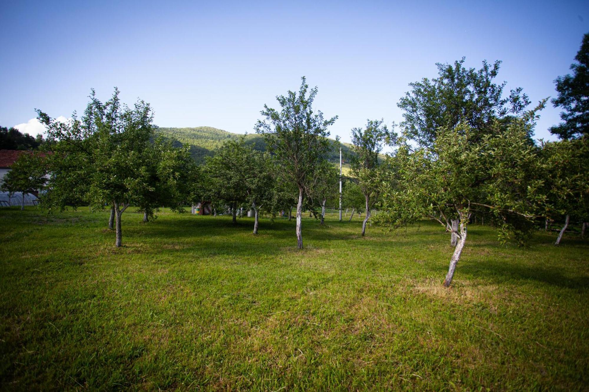 Ethno Village Stitarica Mojkovac Ngoại thất bức ảnh